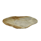 Petrified Wood Plate M