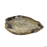 Petrified Wood Plate Small