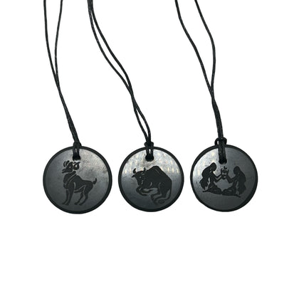 Shungite Pendant Zodiac