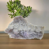 Amethyst Flower Formation Natural Plates