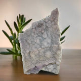 Amethyst Flower Formation Natural Plates