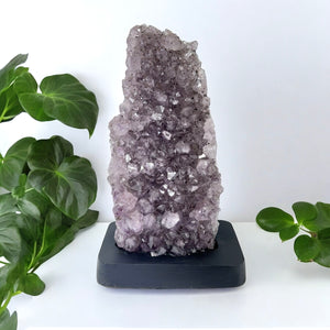 Amethyst on Wood Stand