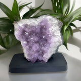 Amethyst on Wood Stand