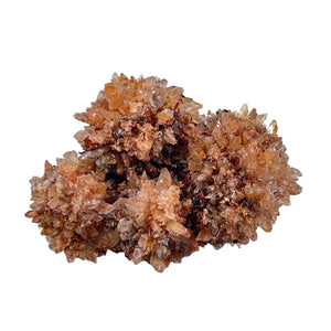 Creedite