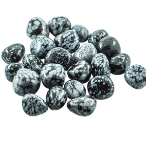 Black Snowflake Obsidian Tumbled 20-30mm