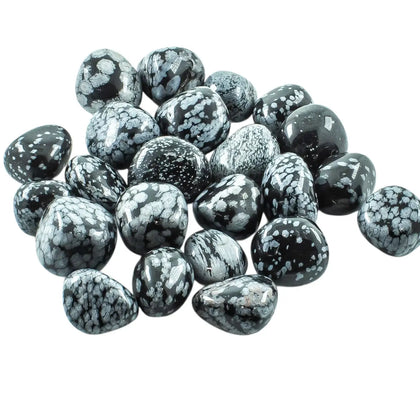 Black Snowflake Obsidian Tumbled 20-30mm