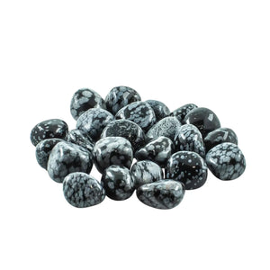 Black Snowflake Obsidian Tumbled 20-30mm