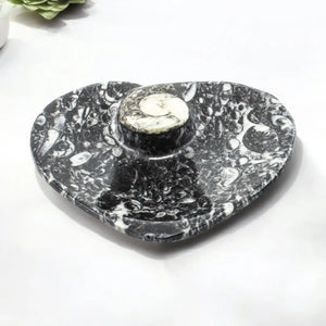 Ammonite Fossil Plate Heart 11cm