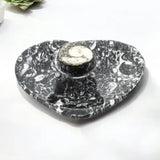 Ammonite Fossil Plate Heart 11cm