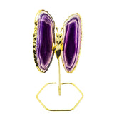 Agate Butterfly on Gold Stand