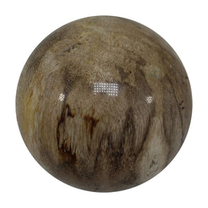 Petrified Wood Spheres (Indonesia)