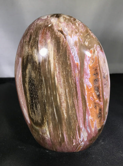Petrified Wood Free Forms