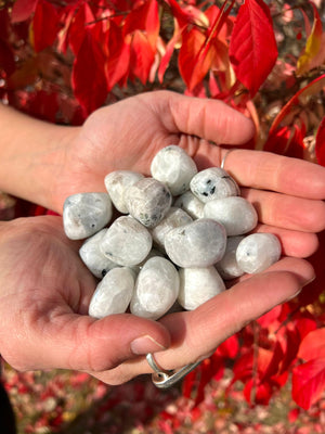 Rainbow Moonstone Tumbled