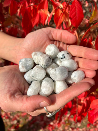 Rainbow Moonstone Tumbled