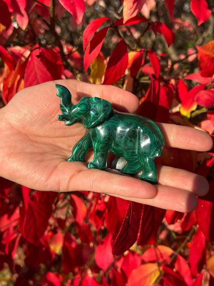 Malachite Animals