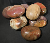 Petrified Wood Gallets