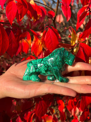 Malachite Animals