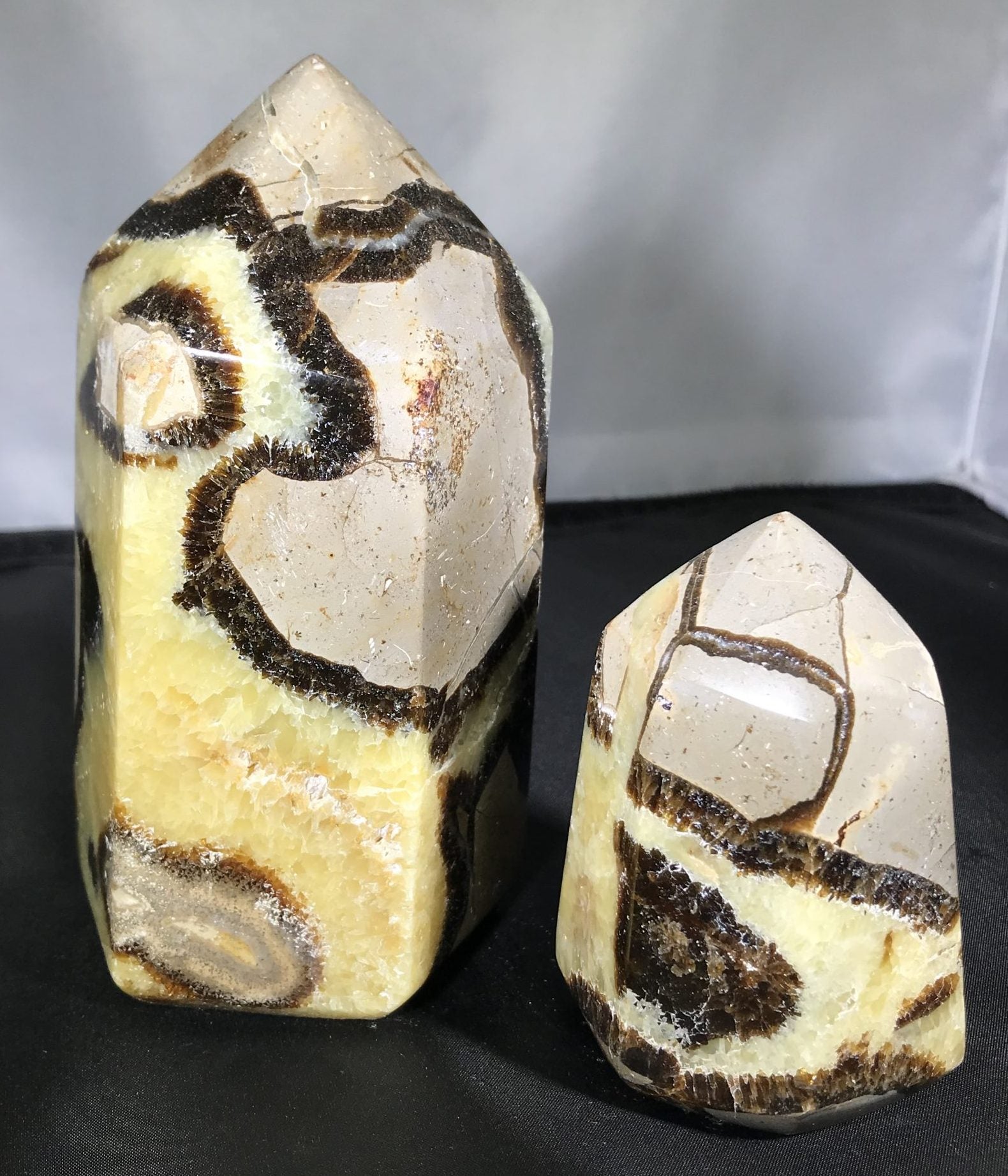 Septarian Polished Points