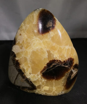 Septarian Free Forms