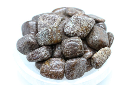 Brown Snowflake Obsidian Tumbled 10-20mm