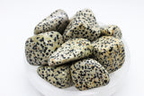 Dalmatian Jasper Tumbled 30-45mm