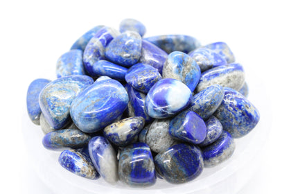 Lapis Tumbled 10-20mm