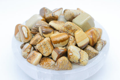 Picture Jasper Tumbled 10-20mm