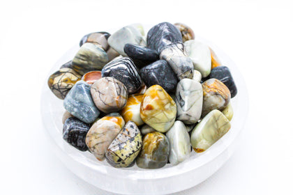 Picasso Jasper Tumbled 10-20mm
