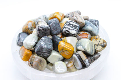Picasso Jasper Tumbled 10-20mm