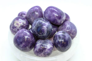 Lepidolite Tumbled 30-45mm