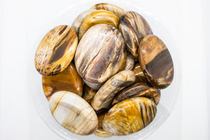 Petrified Wood Worry Stones
