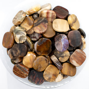 Petrified Wood Smooth Small