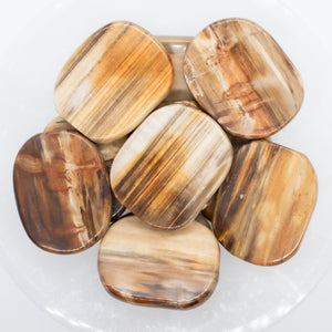 Petrified Wood Smooth Large