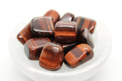 Red Tiger Eye Tumbled 20-30mm