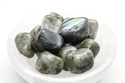 Labradorite Tumbled  20-30mm