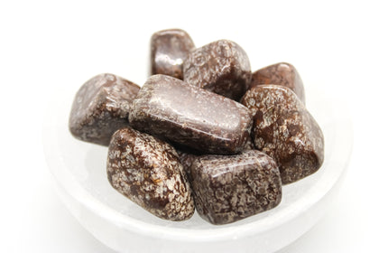 Brown Snowflake Obsidian Tumbled 20-30mm