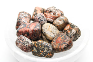Leopard Skin Tumbled 20-30mm