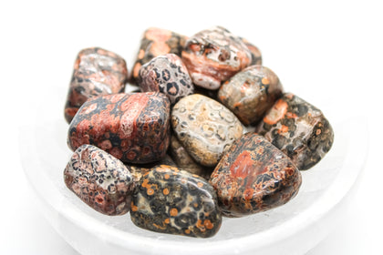 Leopard Skin Tumbled 20-30mm