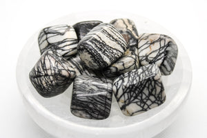 Zebra Jasper Tumbled 20-30mm