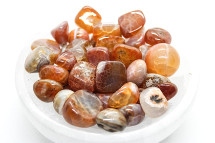 Fire Agate Tumbled 10-20mm