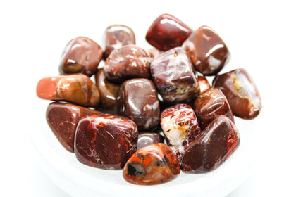 Brecciated Jasper Tumbled 20-30mm
