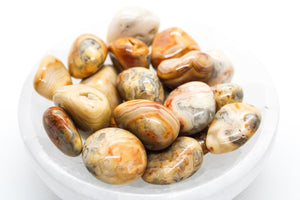 Yellow Crazy Lace Agate Tumbled 20-30mm